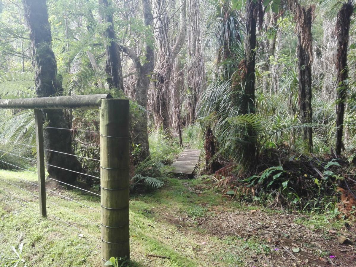 Апартаменты Taranaki Experience Нью-Плимут Экстерьер фото