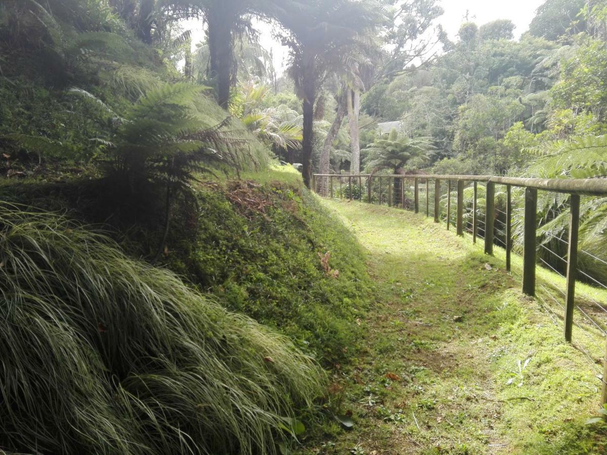 Апартаменты Taranaki Experience Нью-Плимут Экстерьер фото